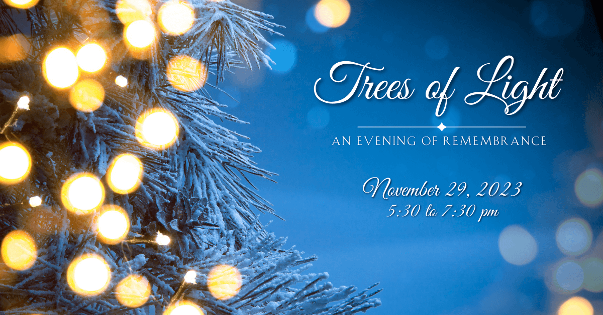 Trees of Light: November 29